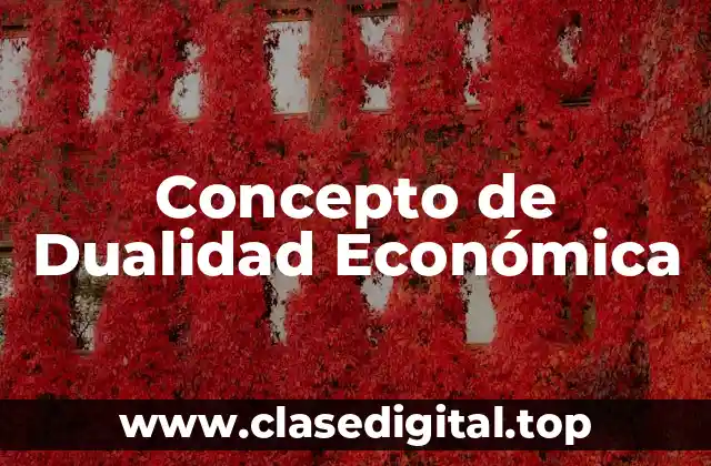 Concepto de Dualidad Económica