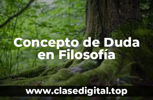 Concepto de Duda en Filosofía