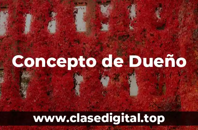 Concepto de Dueño