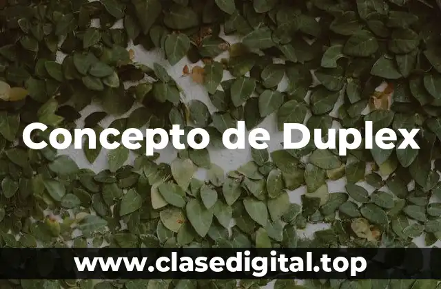 Concepto de Duplex