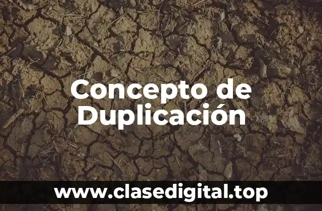 Concepto de Duplicación