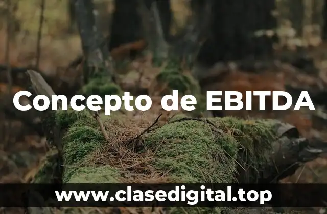 📗 Concepto de EBITDA