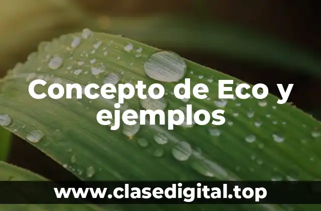 Concepto de Eco y ejemplos