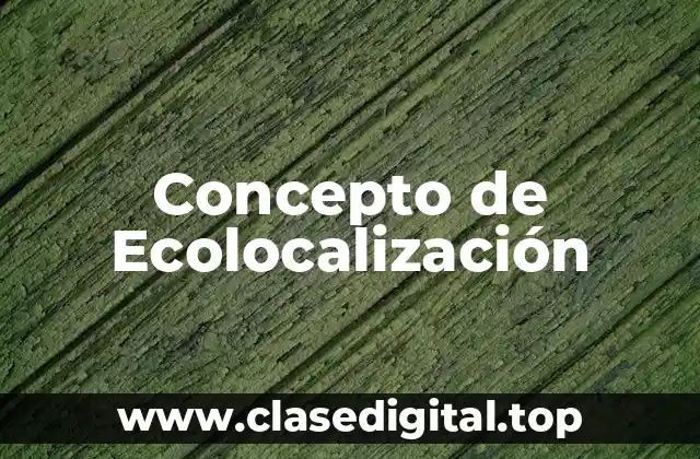 Concepto de Ecolocalización