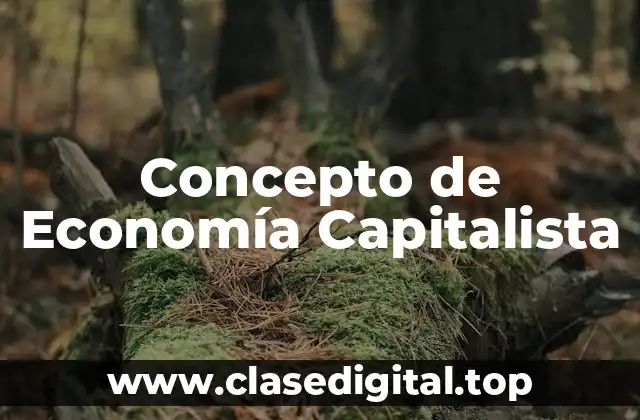 Concepto de Economía Capitalista