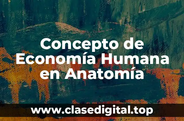 Concepto de Economía Humana en Anatomía