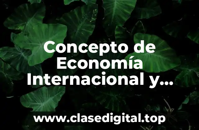 📗 Concepto de Economía Internacional