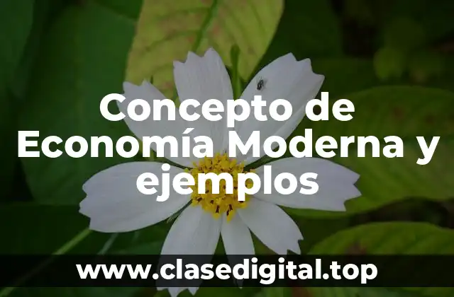 Concepto de Economía Moderna y ejemplos