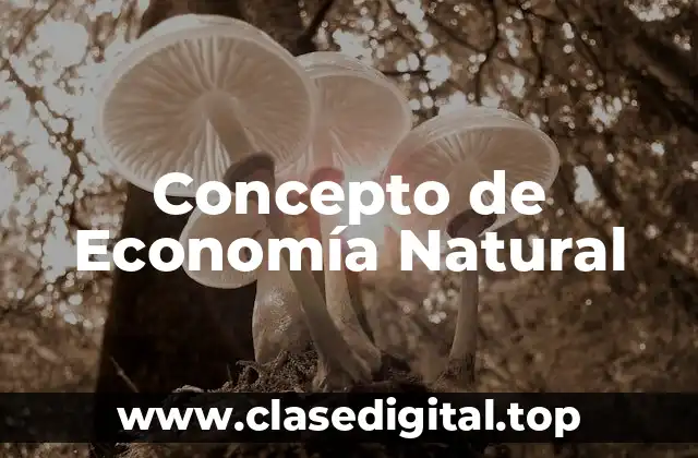 Concepto de Economía Natural