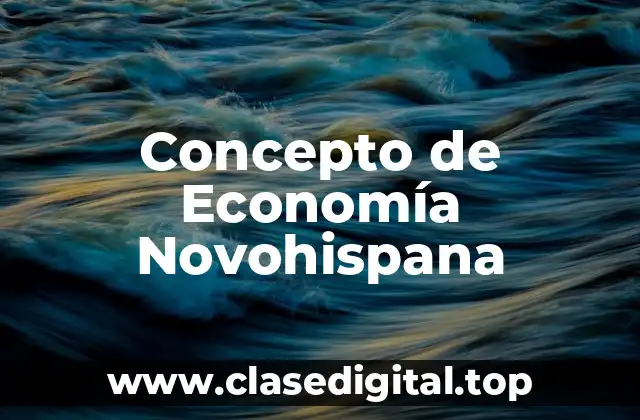 Concepto de Economía Novohispana