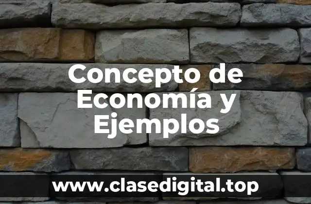 Concepto de Economía y Ejemplos