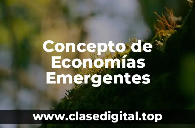 Concepto de Economías Emergentes