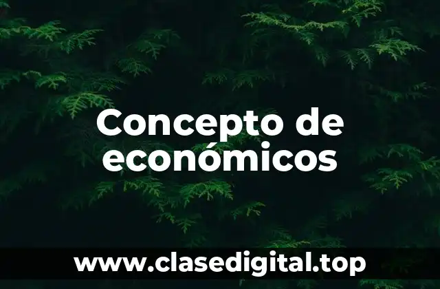 Concepto de económicos