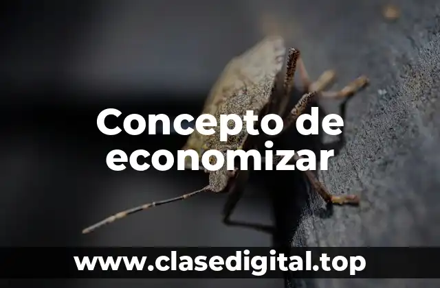 Concepto de economizar