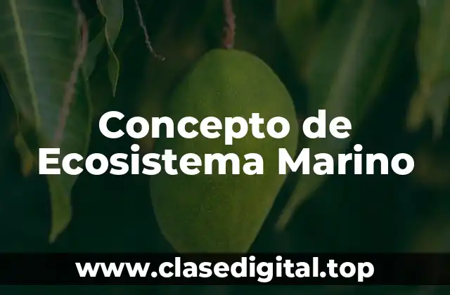 Concepto de Ecosistema Marino