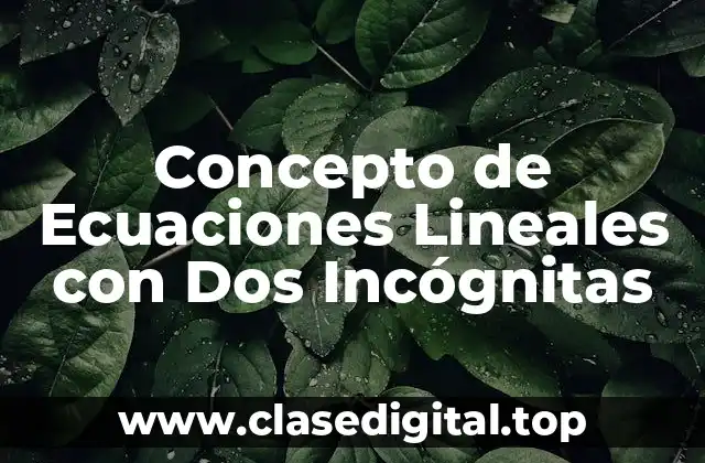 Concepto de Ecuaciones Lineales con Dos Incógnitas