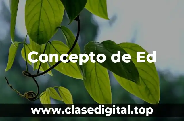 Concepto de Ed