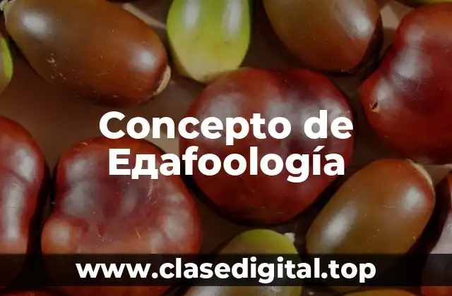 Concepto de Eдаfoología