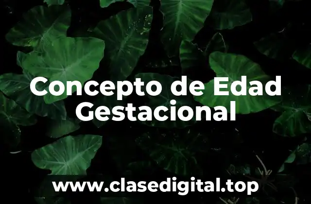 Concepto de Edad Gestacional
