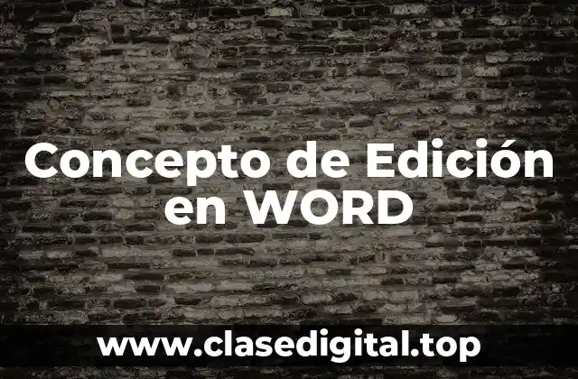 Concepto de Edición en WORD