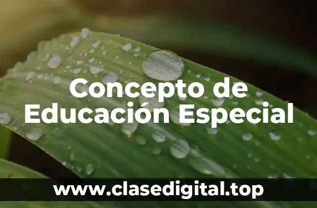 Concepto de Educación Especial