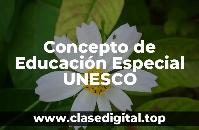 Concepto de Educación Especial UNESCO