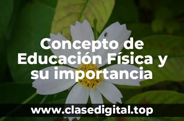 Concepto de Educación Física y su importancia