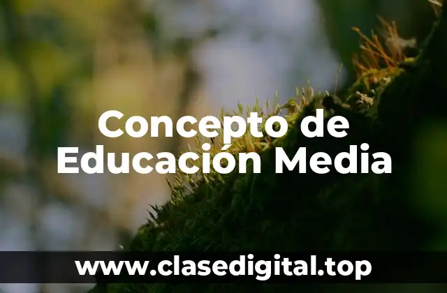 Concepto de Educación Media