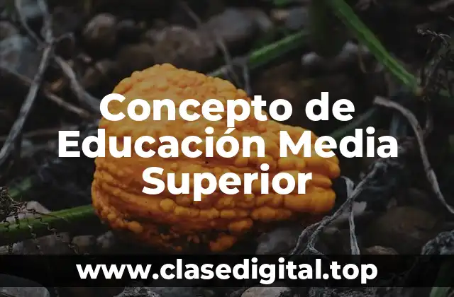 Concepto de Educación Media Superior