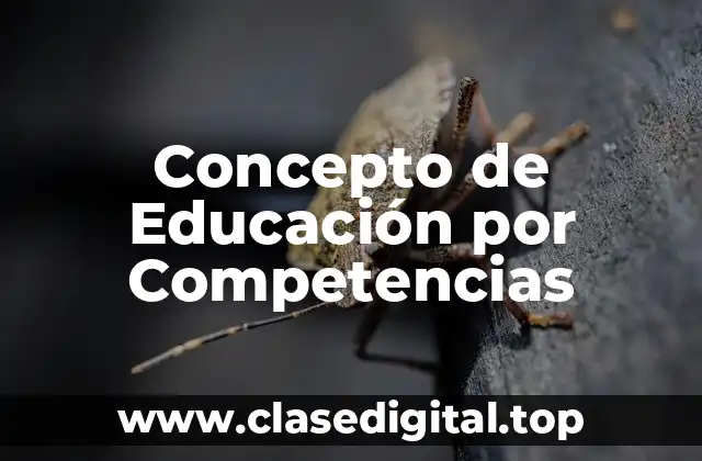 Concepto de Educación por Competencias