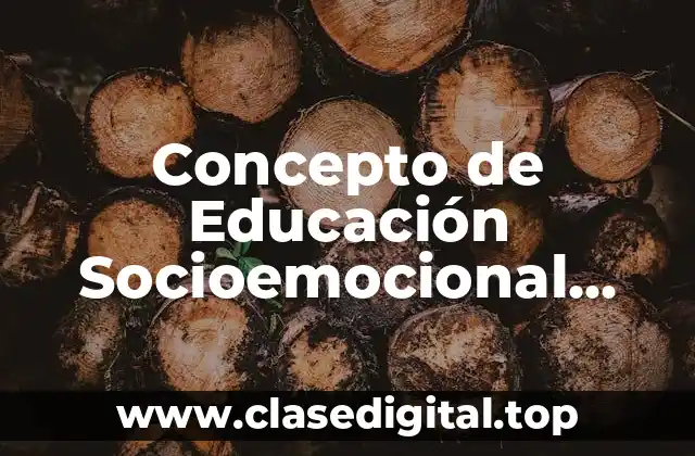 Concepto de Educación Socioemocional según Autores