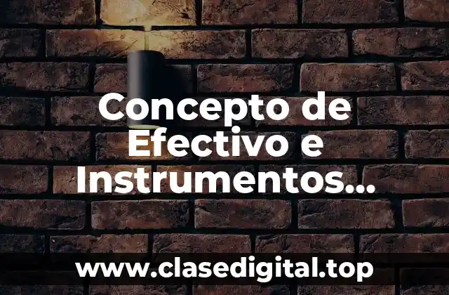 Concepto de Efectivo e Instrumentos Financieros
