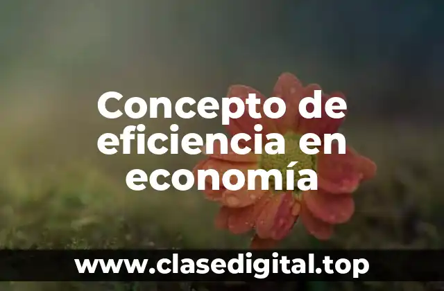 Concepto de eficiencia en economía