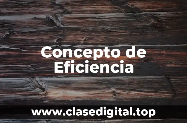 Concepto de Eficiencia