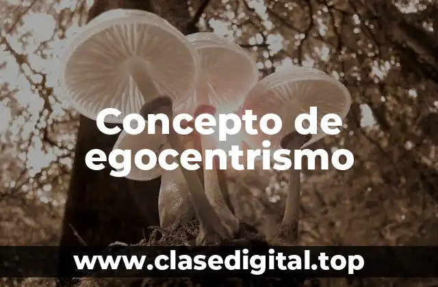 📗 Concepto de egocentrismo