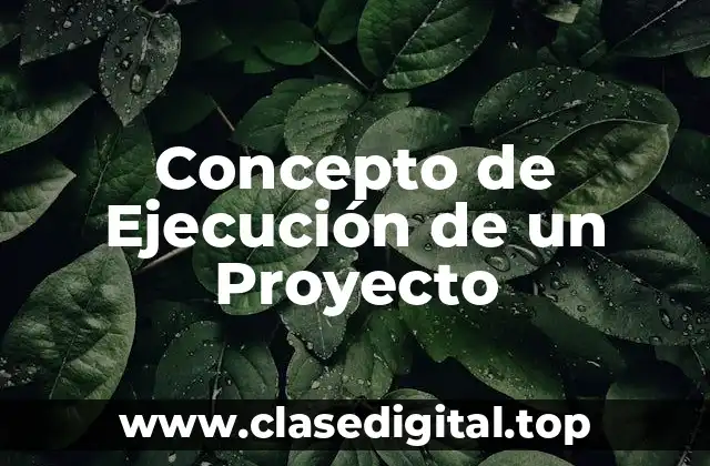 Concepto de Ejecución de un Proyecto