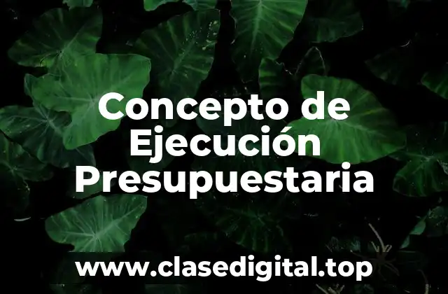 Concepto de Ejecución Presupuestaria