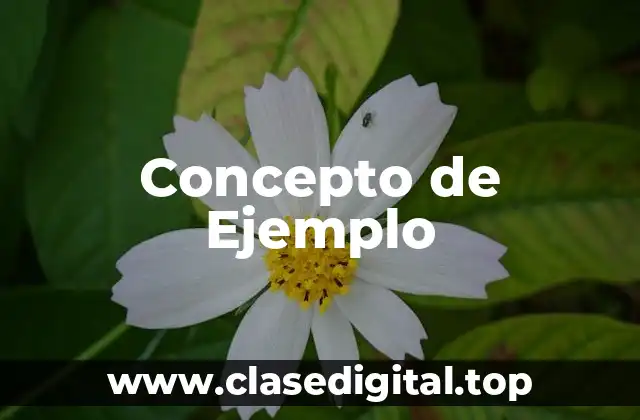 Concepto de Ejemplo