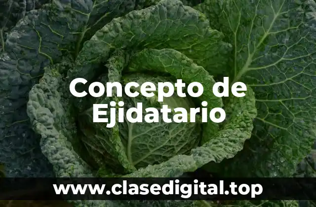 Concepto de Ejidatario