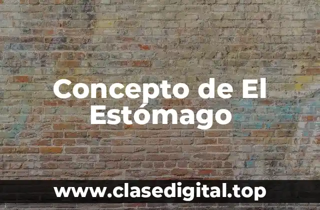 Concepto de El Estómago