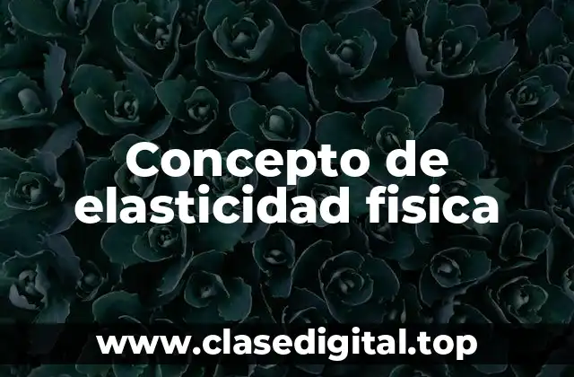 Concepto de elasticidad fisica