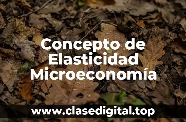Concepto de Elasticidad Microeconomía