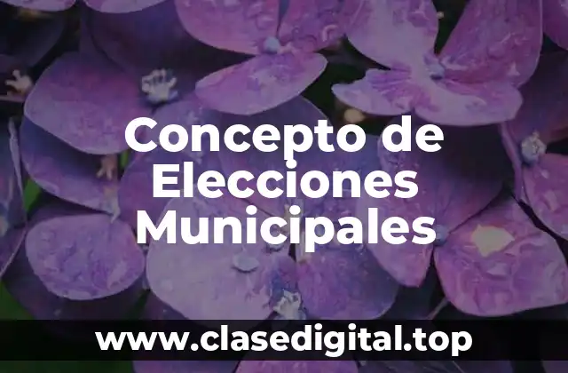 Concepto de Elecciones Municipales