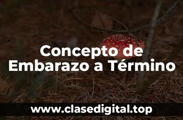 Concepto de Embarazo a Término