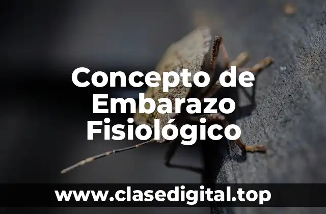 Concepto de Embarazo Fisiológico