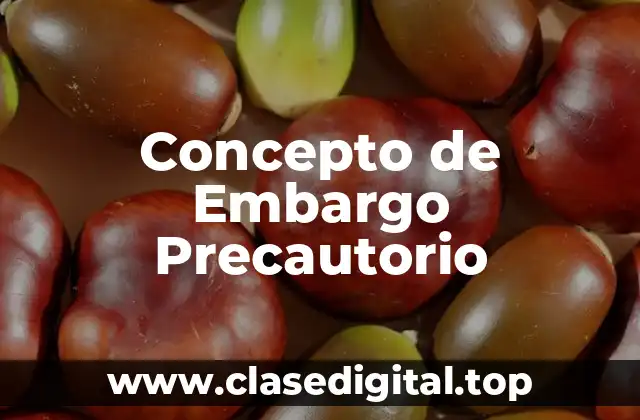 Concepto de Embargo Precautorio