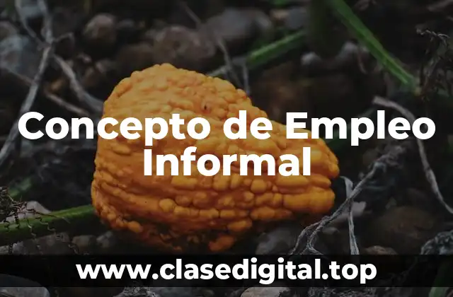 Concepto de Empleo Informal
