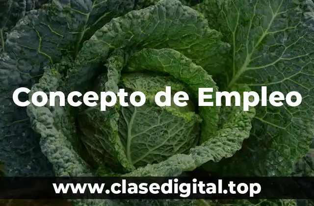 Concepto de Empleo