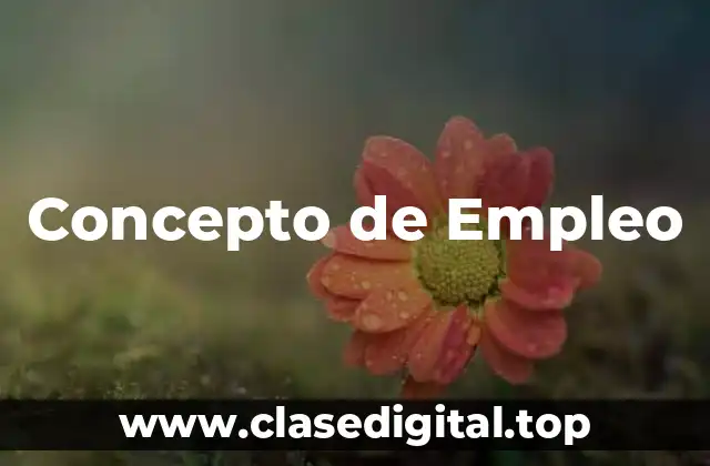 📗 Concepto de Empleo