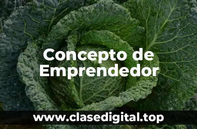 Concepto de Emprendedor